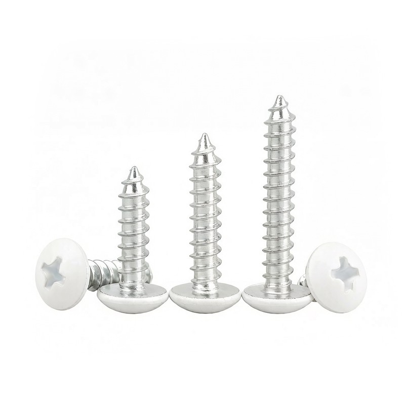 Painted Head Sheet Metal Screws