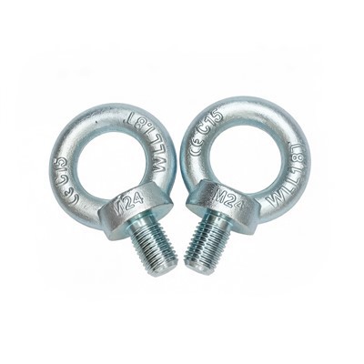 Heavy Duty Lifting Eye Bolts