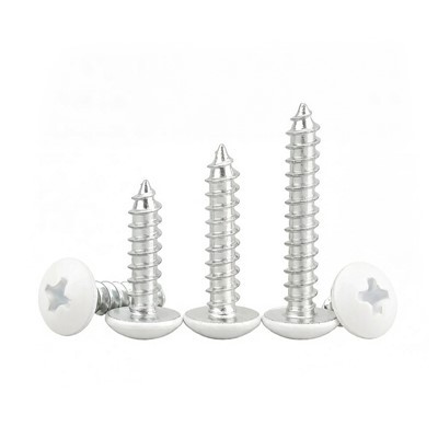 Painted Head Sheet Metal Screws