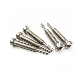 Solar Panel Fixing Screws